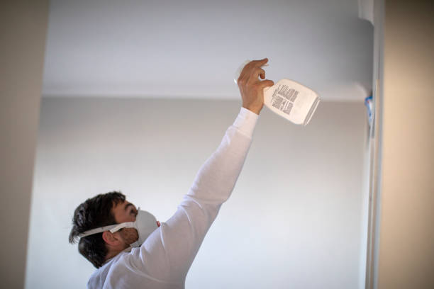 Best Commercial Mold Removal  in Meron Park, CA