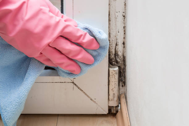 Best Mold Testing  in Meron Park, CA